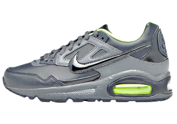 Nike Air Max Skyline Gray