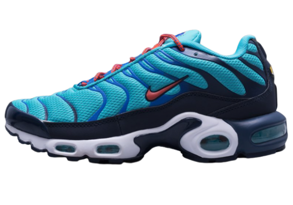 Nike Air Max TN Plus Blue