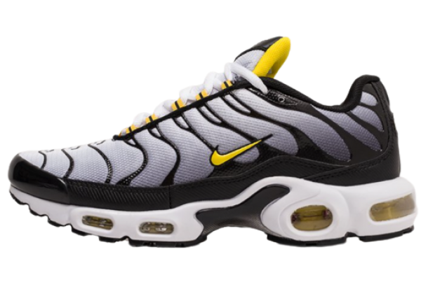 Nike Air Max Plus Black Gray